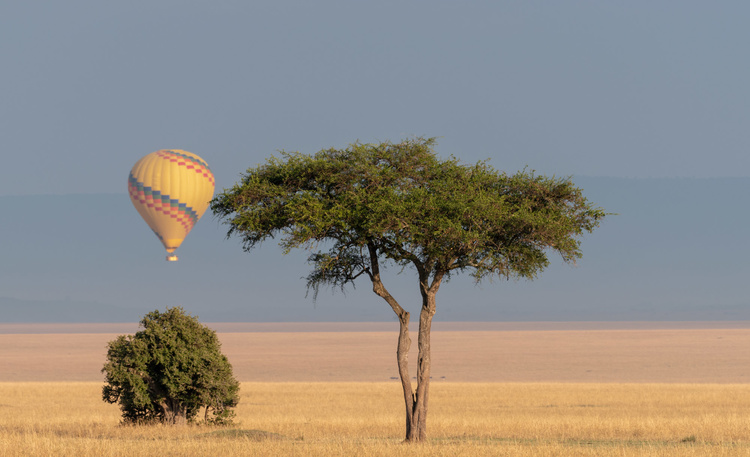 Air Balloon safari in Kenya