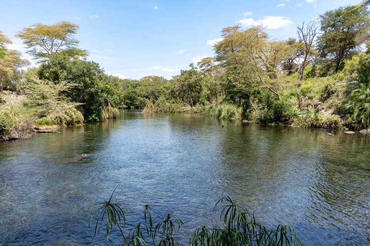 Mzima springs in Kenya